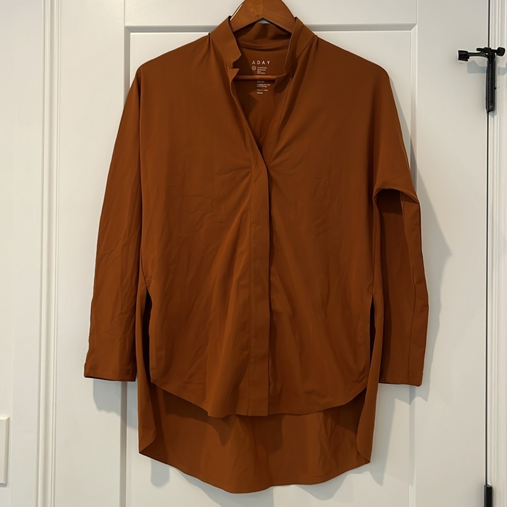 Aday Something Borrowed Shirt in Rust